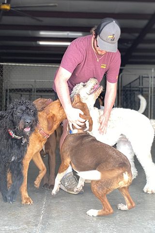 Kanupp-Kennels-hickory-nc